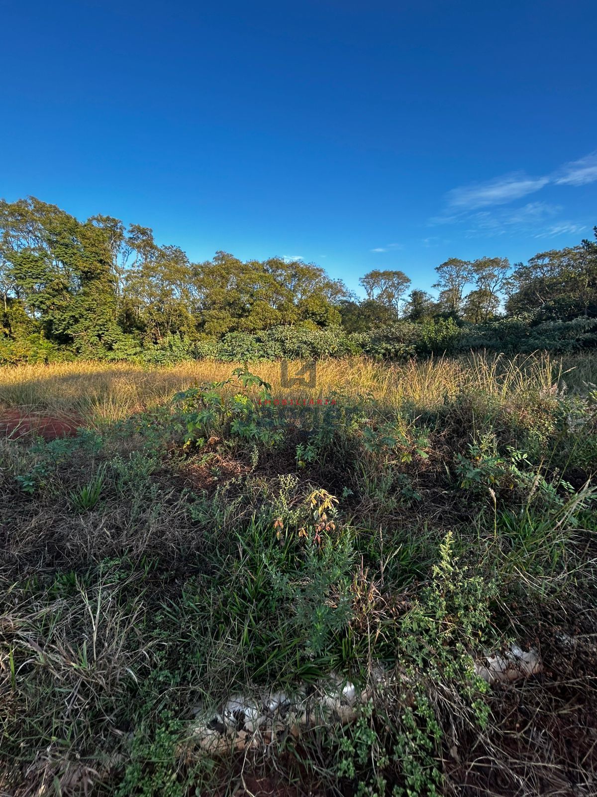Terreno, 360 m² - Foto 2