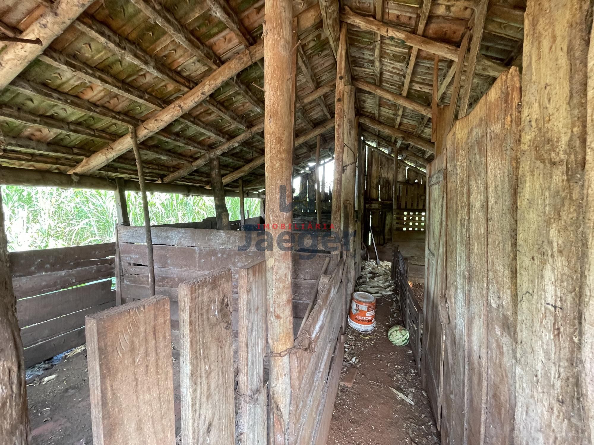 Chácara, 3 quartos, 4 hectares - Foto 14