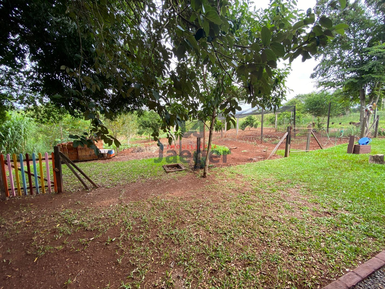 Chácara, 3 hectares - Foto 19