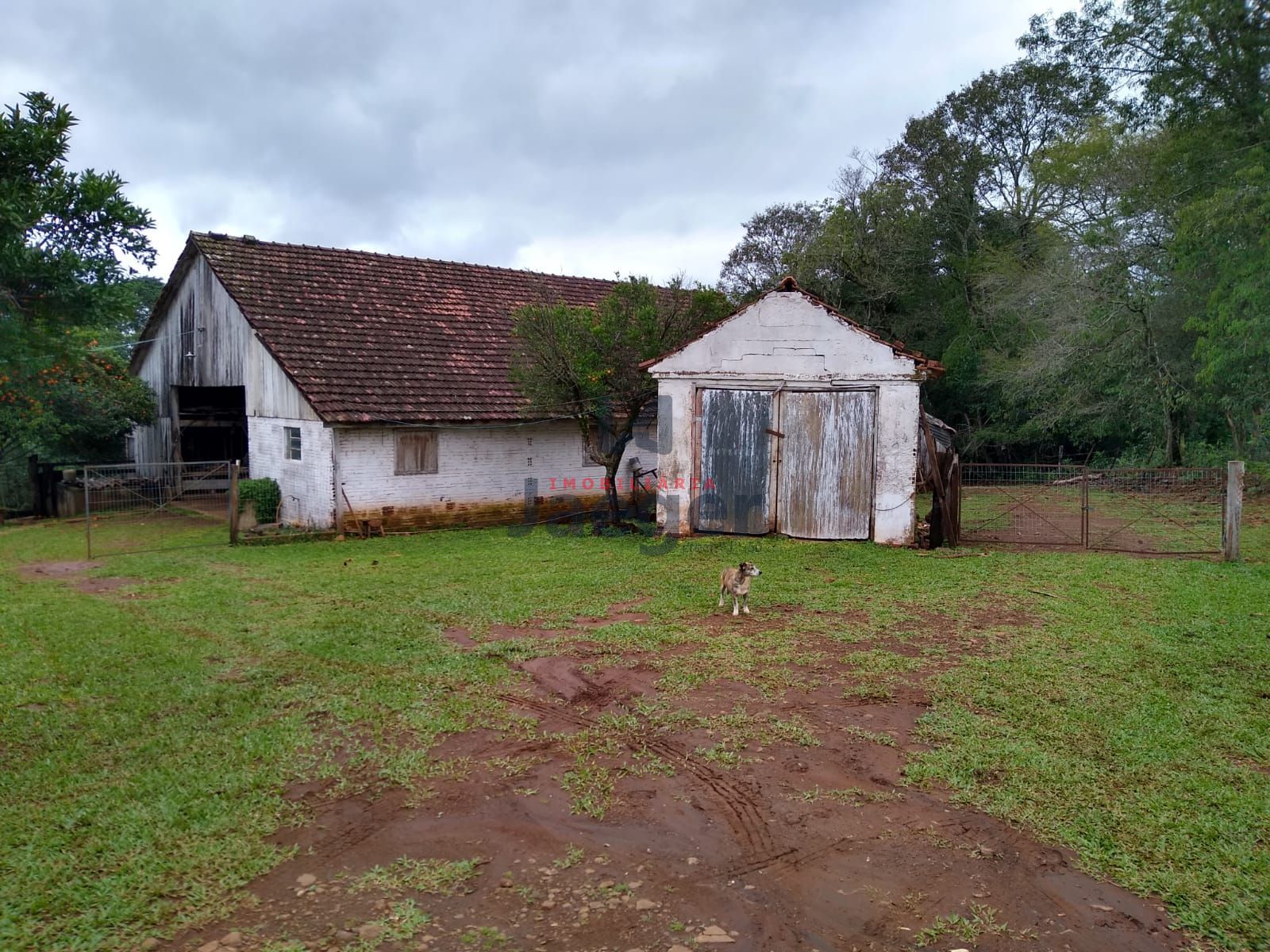 Fazenda à venda com 2 quartos, 150000m² - Foto 28