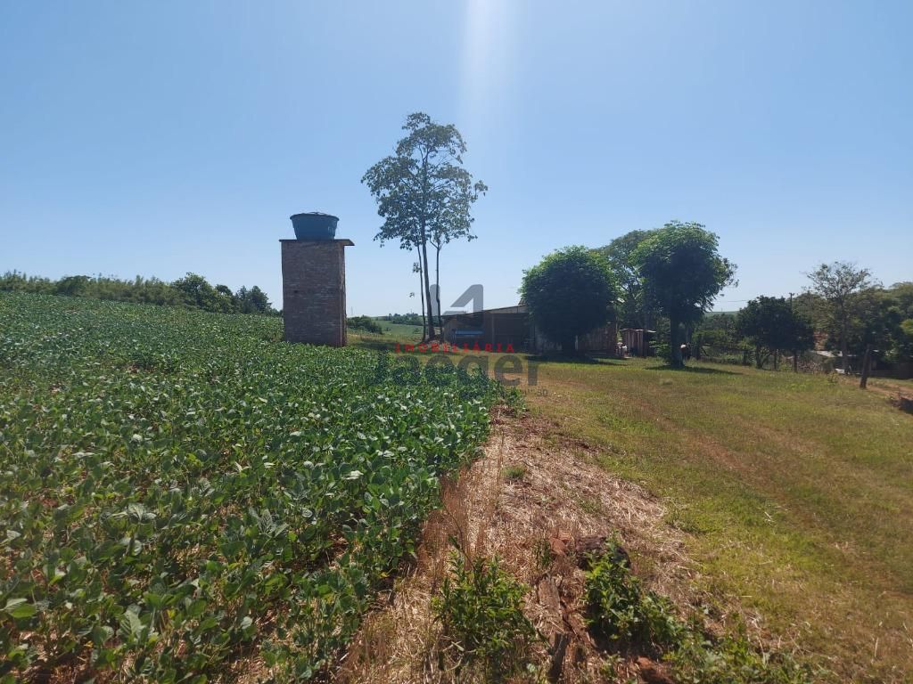 Fazenda à venda com 3 quartos, 79000m² - Foto 7