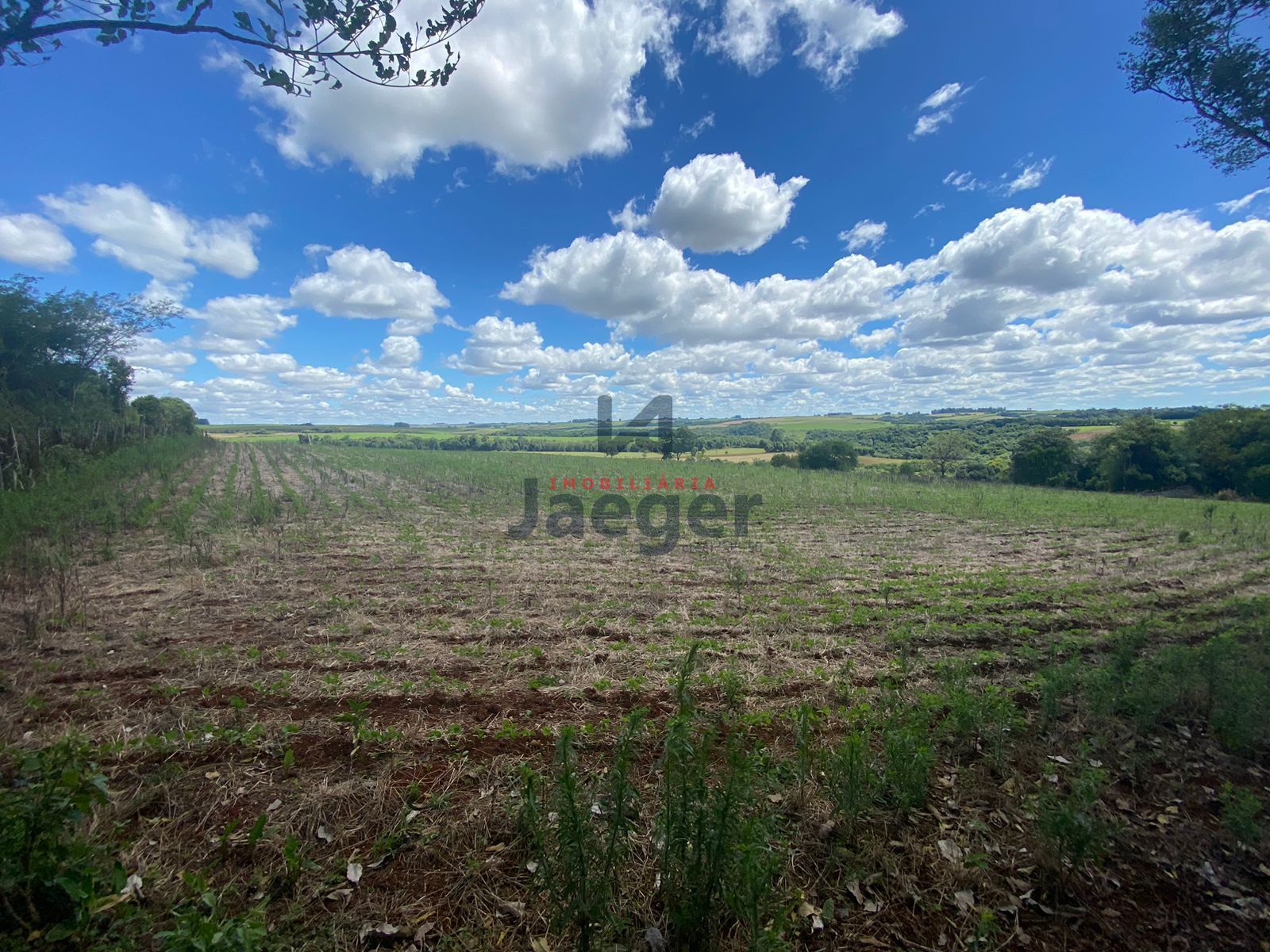 Loteamento e Condomínio à venda, 210000m² - Foto 4