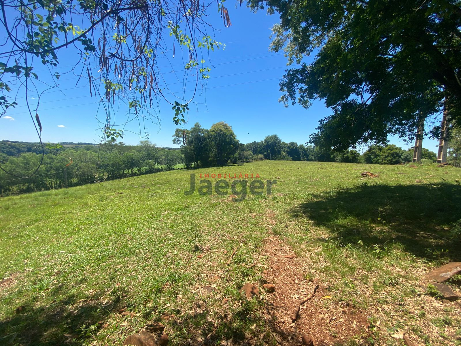 Chácara, 4 hectares - Foto 24