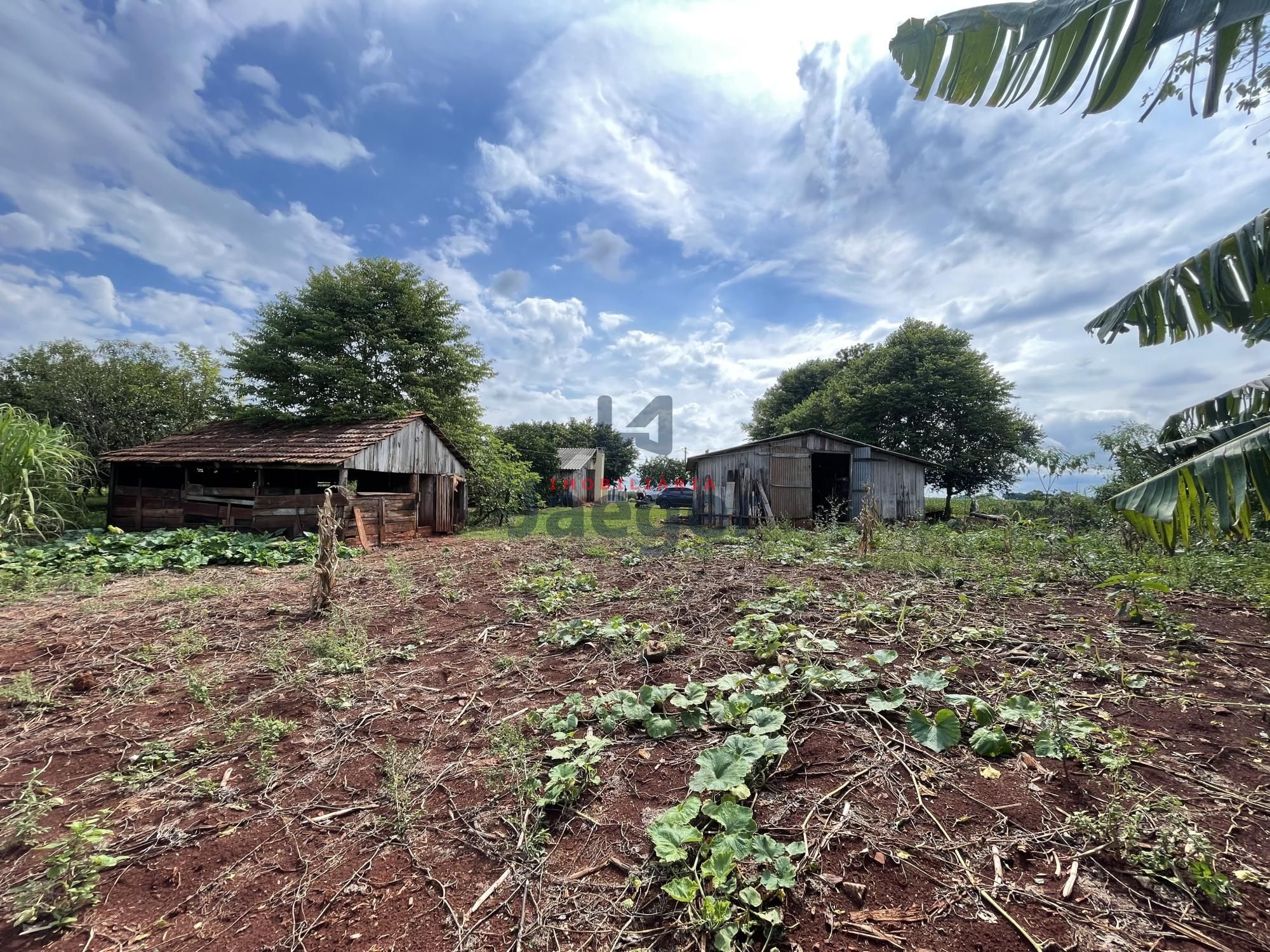 Chácara, 3 quartos, 4 hectares - Foto 11