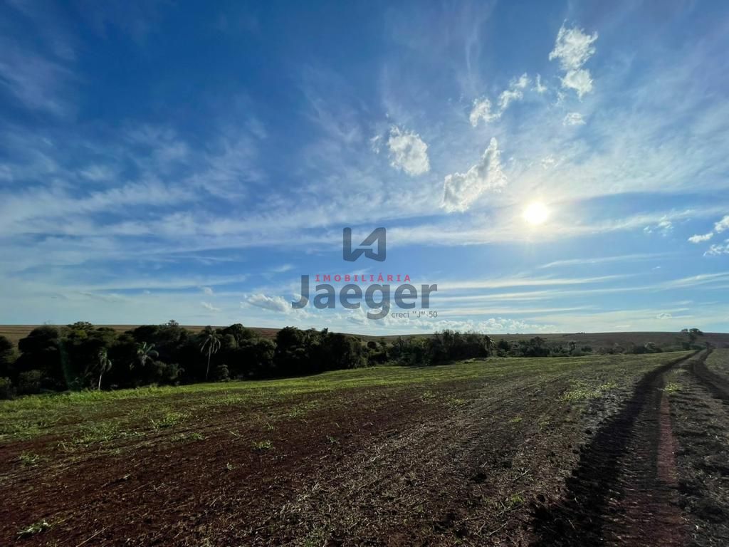 Fazenda à venda com 3 quartos, 192m² - Foto 17