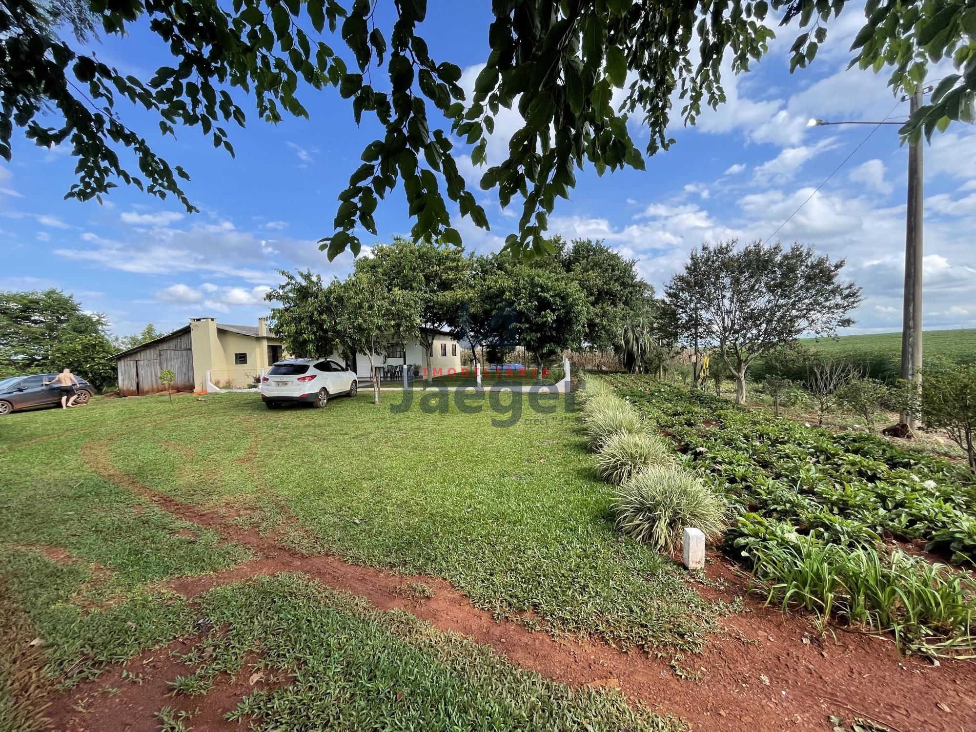 Chácara, 3 quartos, 4 hectares - Foto 4