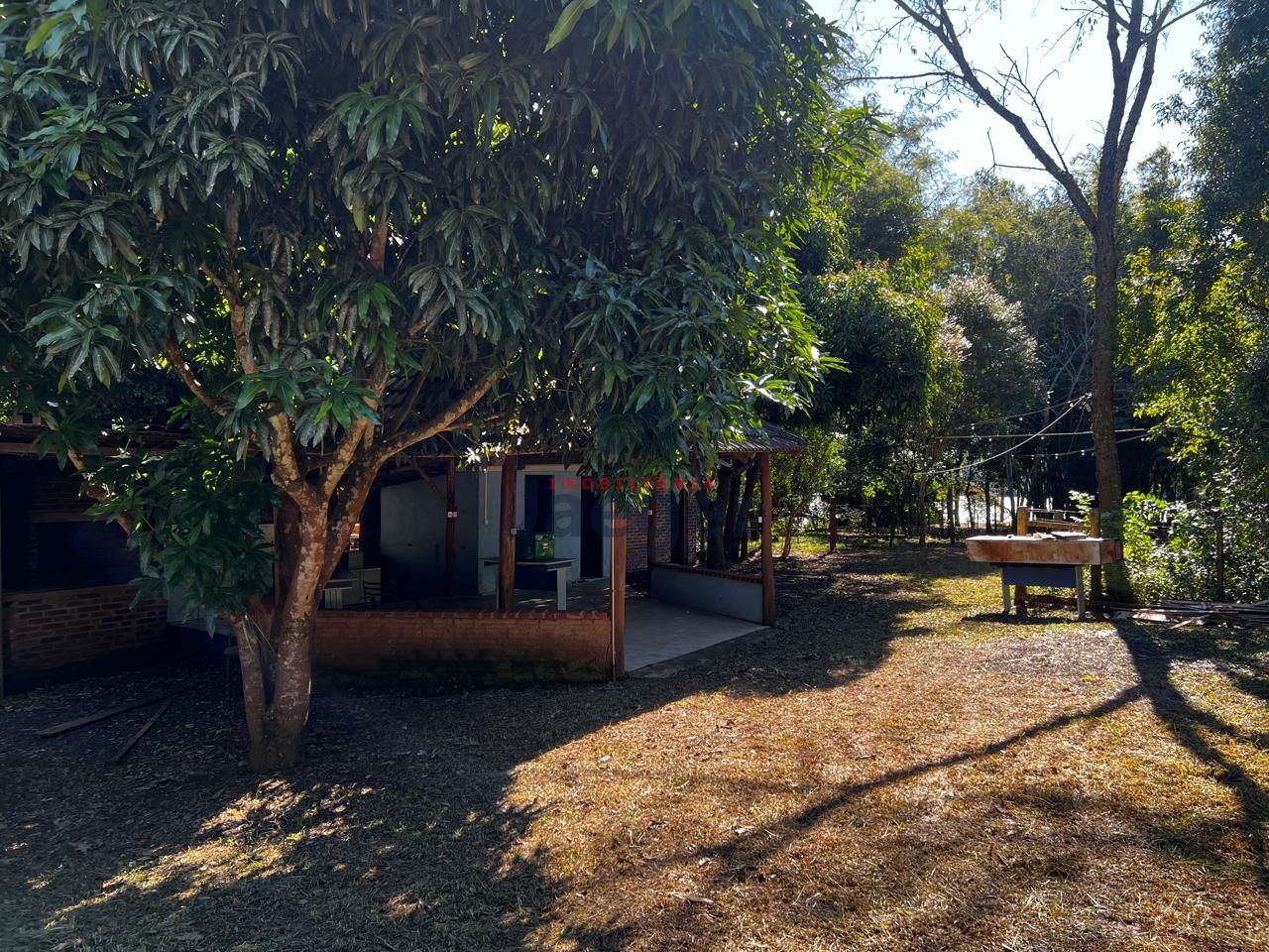 Sítio, 1250 m² - Foto 3