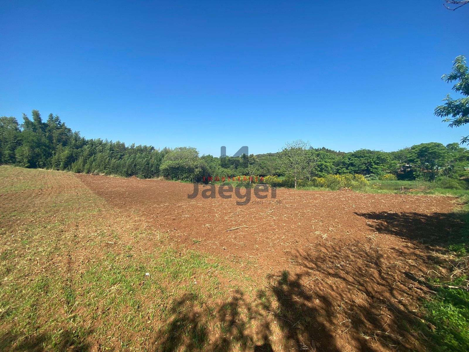 Fazenda à venda, 89720000m² - Foto 3