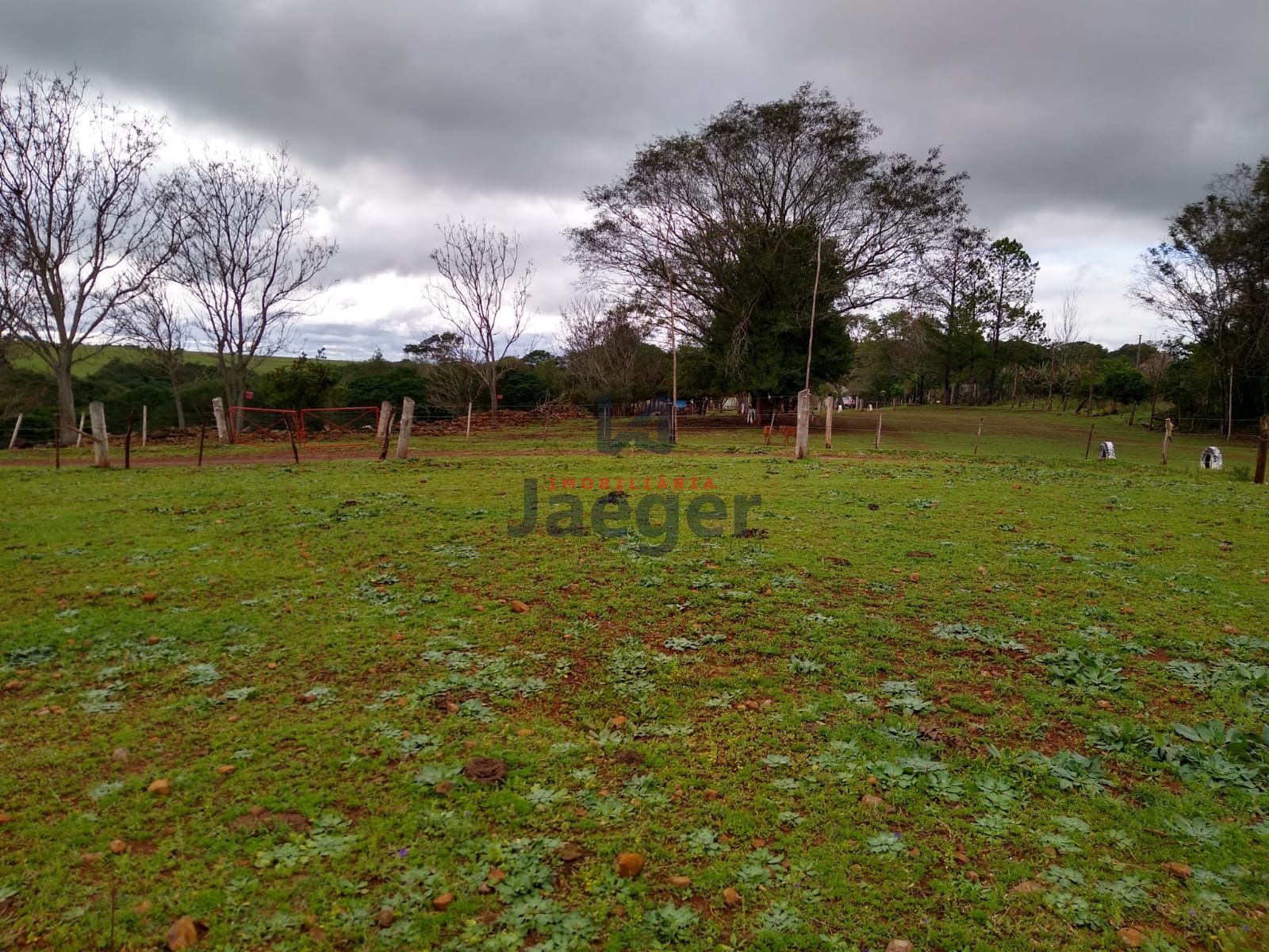 Sítio, 15 hectares - Foto 12