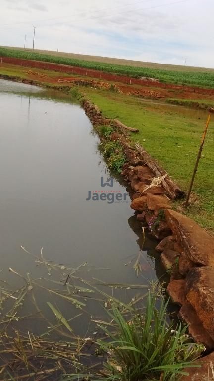 Chácara à venda com 3 quartos, 10200000m² - Foto 14