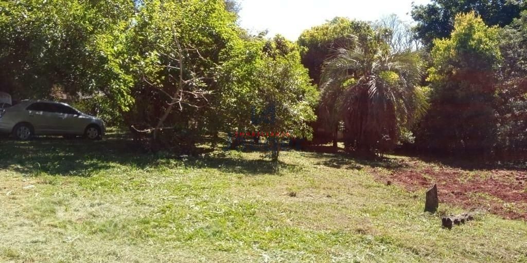 Fazenda à venda com 1 quarto, 8760m² - Foto 10