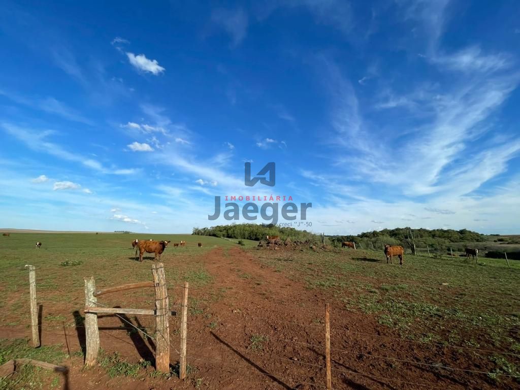 Fazenda à venda com 3 quartos, 192m² - Foto 20