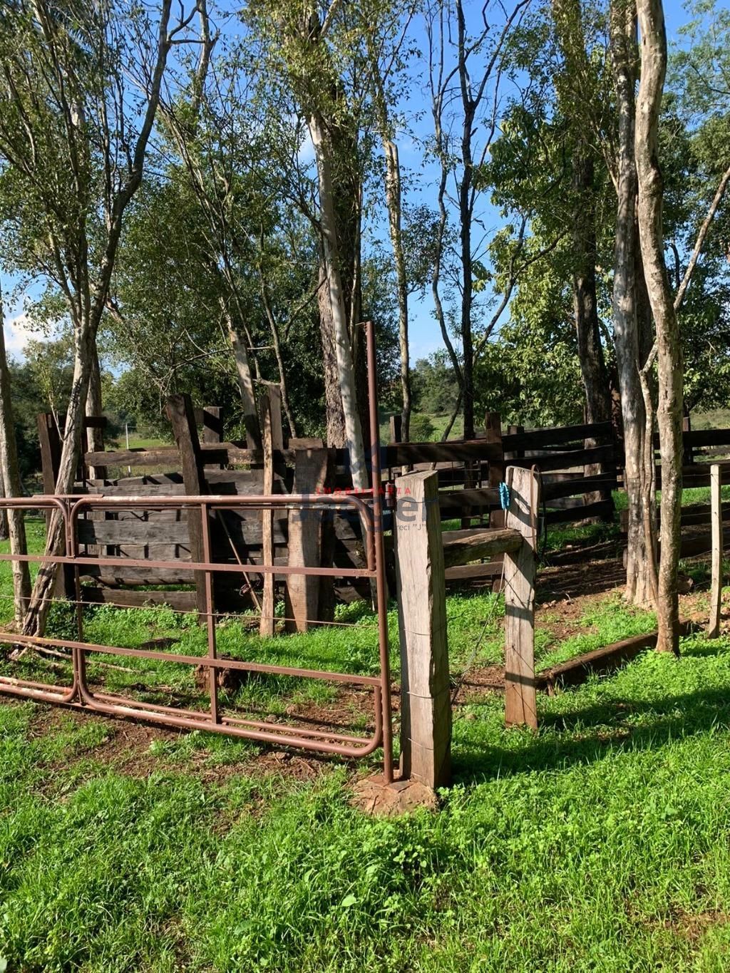 Fazenda à venda com 2 quartos, 89999m² - Foto 28