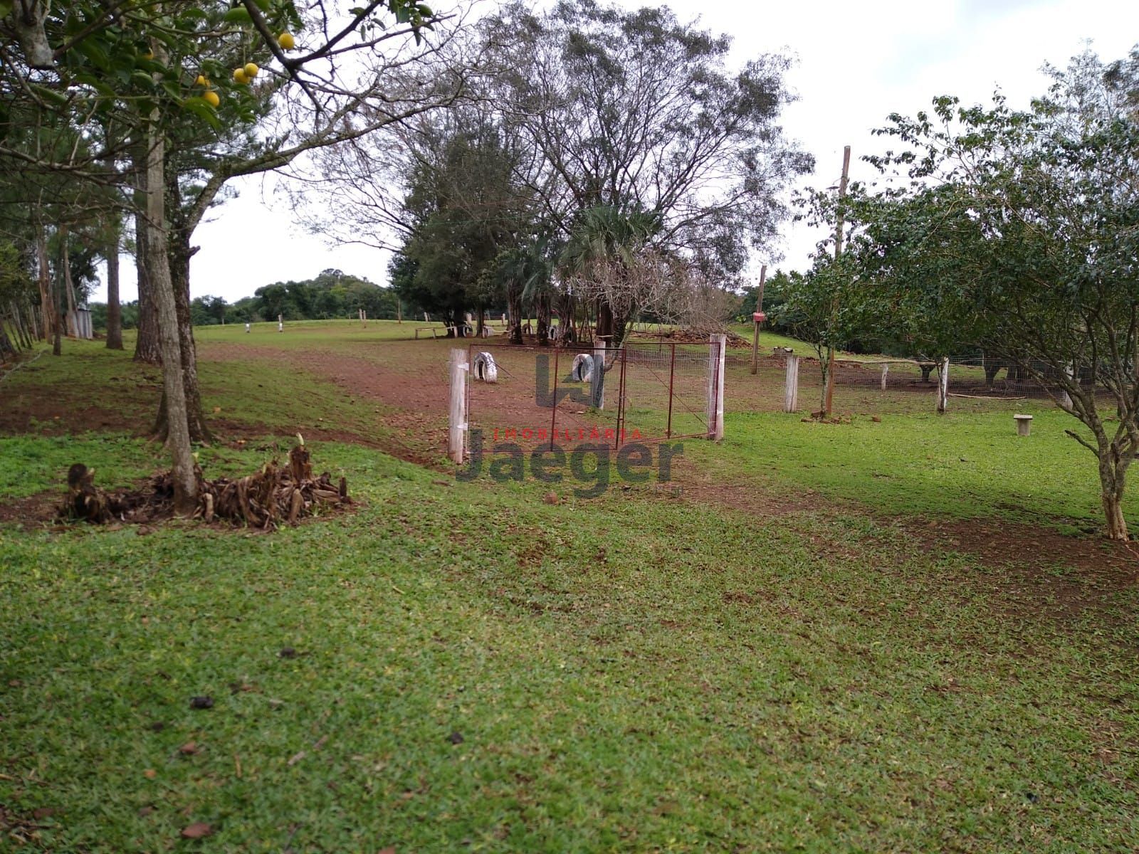 Sítio, 15 hectares - Foto 6