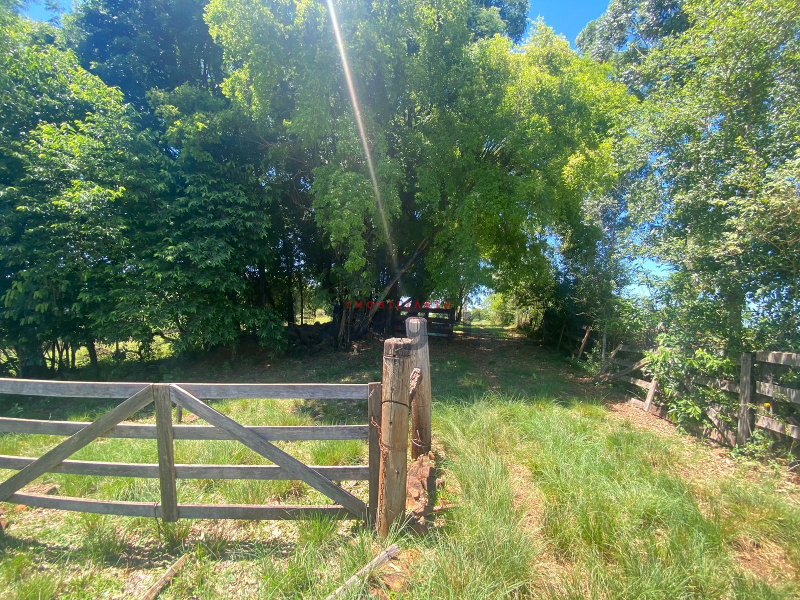 Chácara, 4 hectares - Foto 9