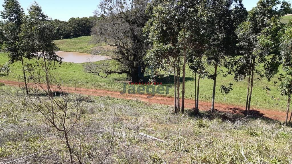 Fazenda à venda com 3 quartos, 79000m² - Foto 11