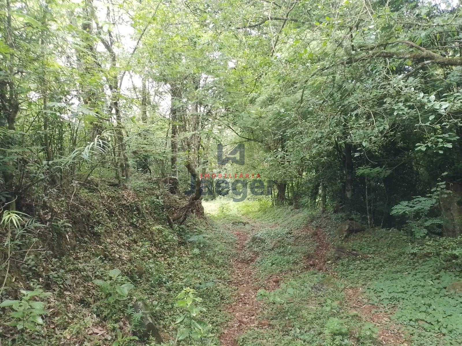 Fazenda à venda com 2 quartos, 125000m² - Foto 9