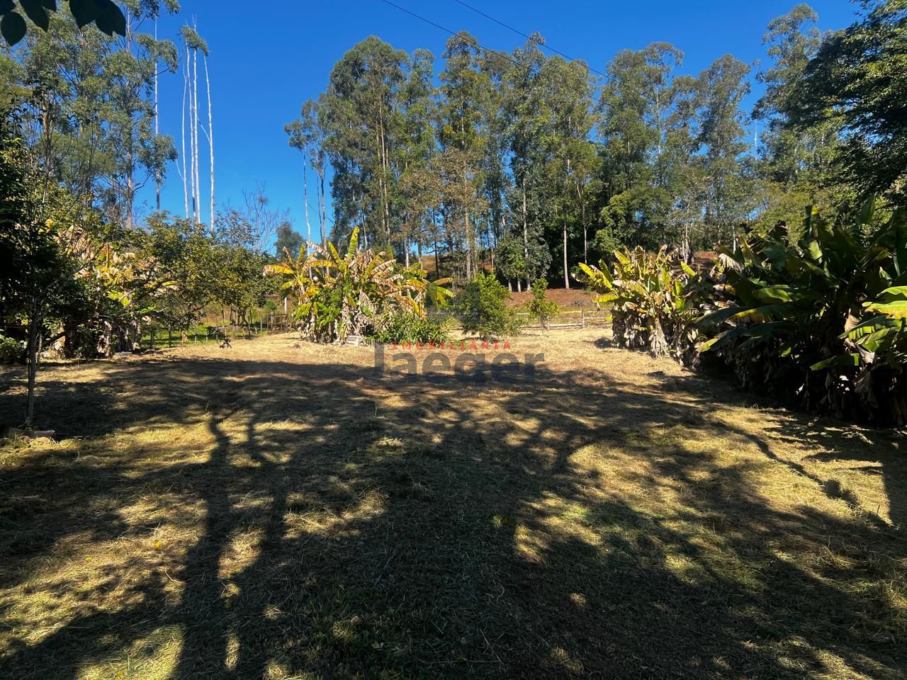 Sítio, 1250 m² - Foto 23