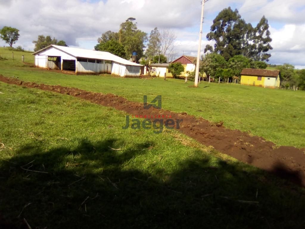 Fazenda à venda com 4 quartos, 14999m² - Foto 4