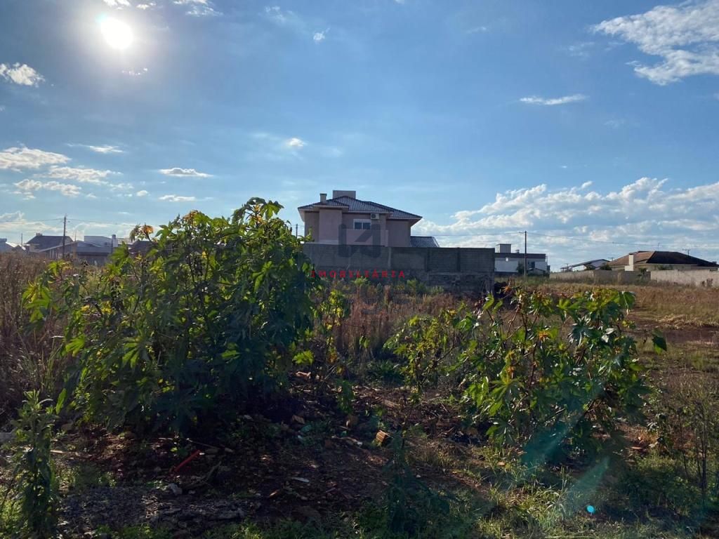 Terreno, 528 m² - Foto 2