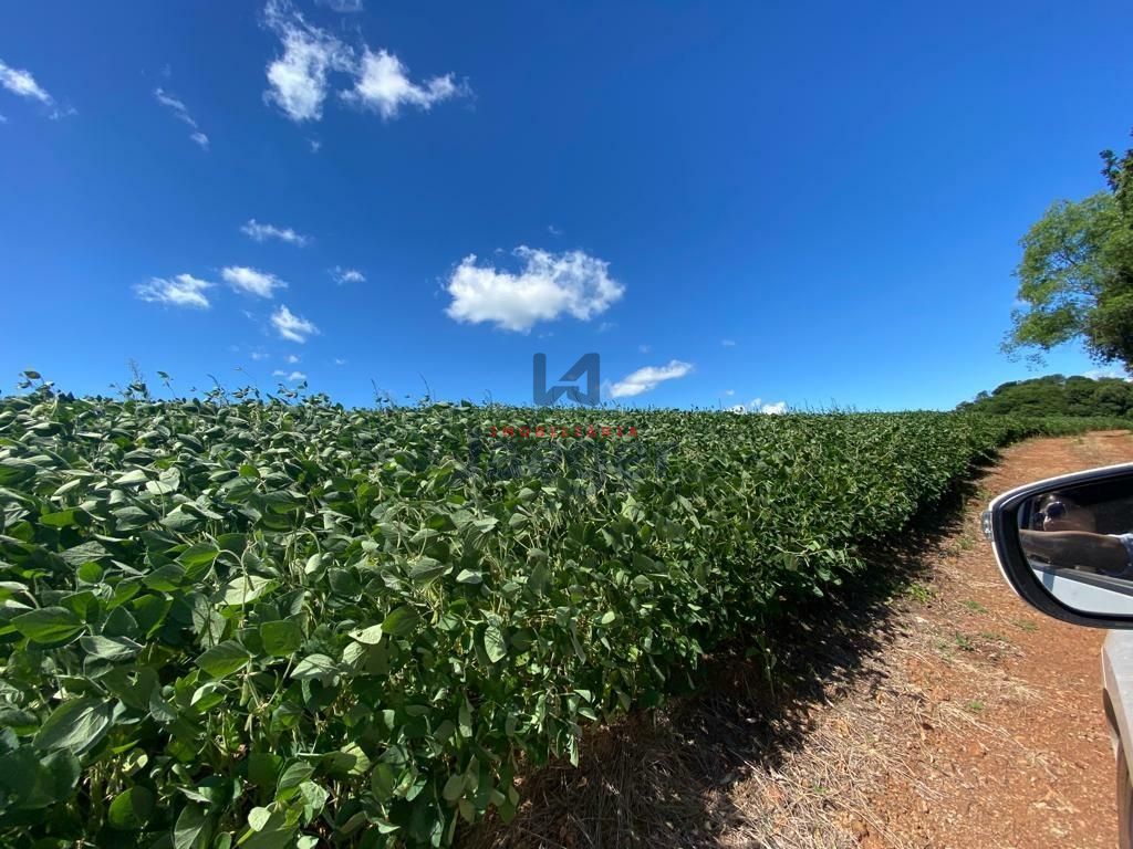 Fazenda à venda, 2070000m² - Foto 18