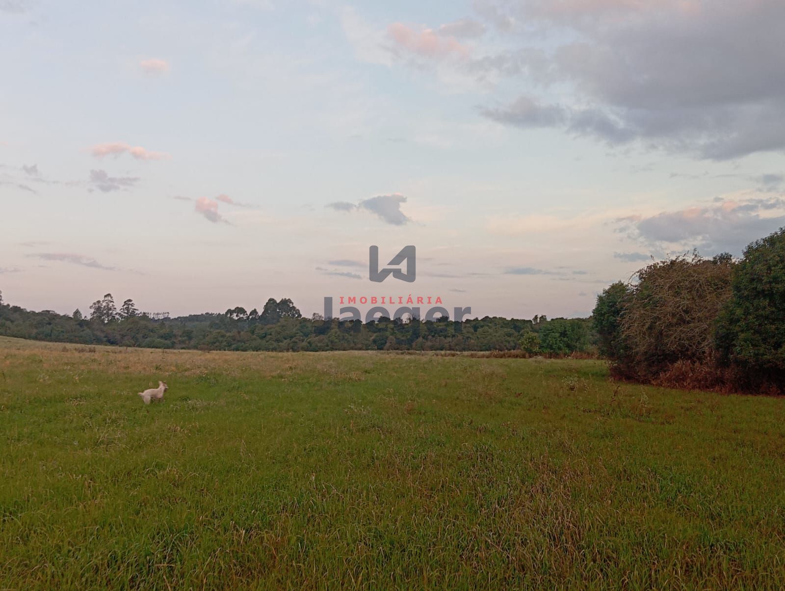 Fazenda-Sítio-Chácara, 21 hectares - Foto 7