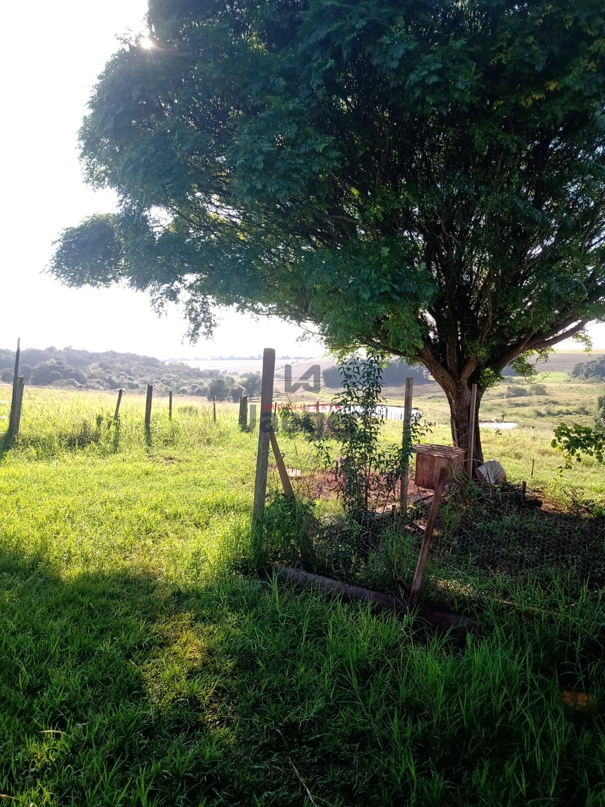 Fazenda à venda com 2 quartos, 100000000m² - Foto 4