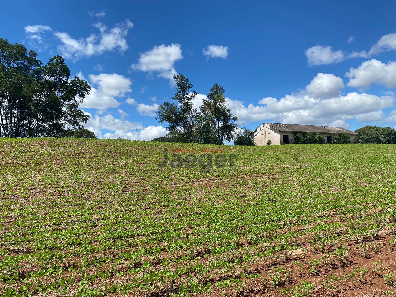 Loteamento e Condomínio à venda, 210000m² - Foto 10