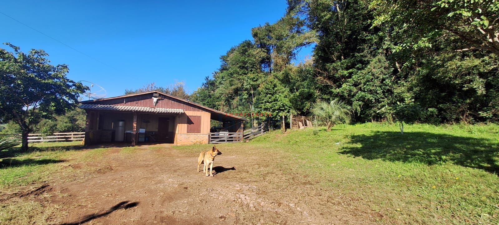 Fazenda à venda com 3 quartos, 2m² - Foto 3