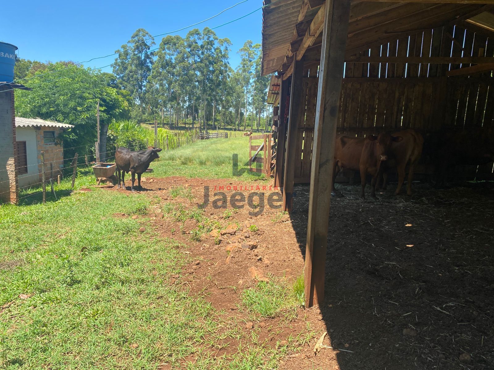 Chácara, 4 hectares - Foto 21