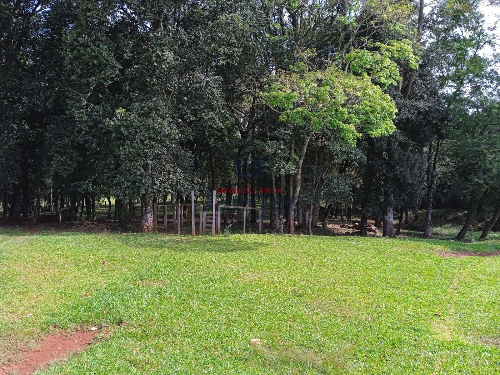 Fazenda à venda com 3 quartos, 15000m² - Foto 15