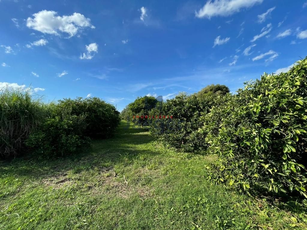 Fazenda à venda com 3 quartos, 192m² - Foto 30