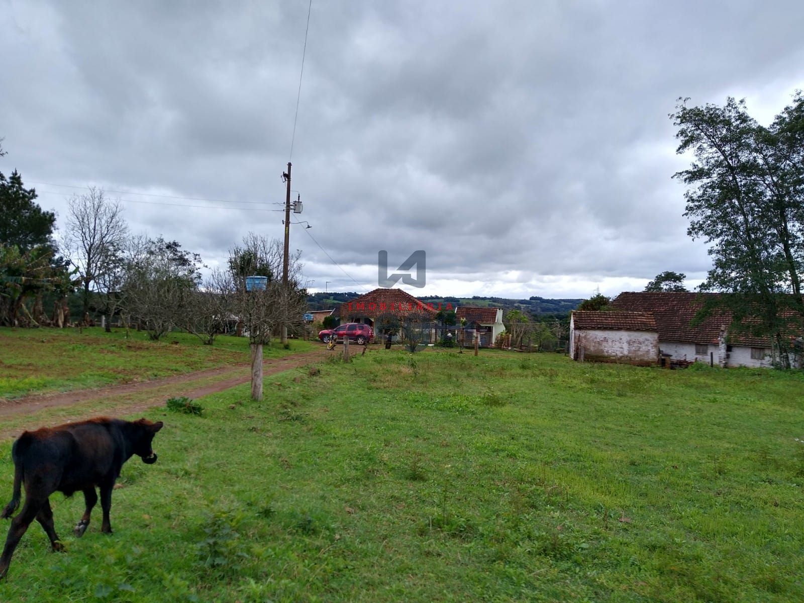 Sítio, 15 hectares - Foto 4