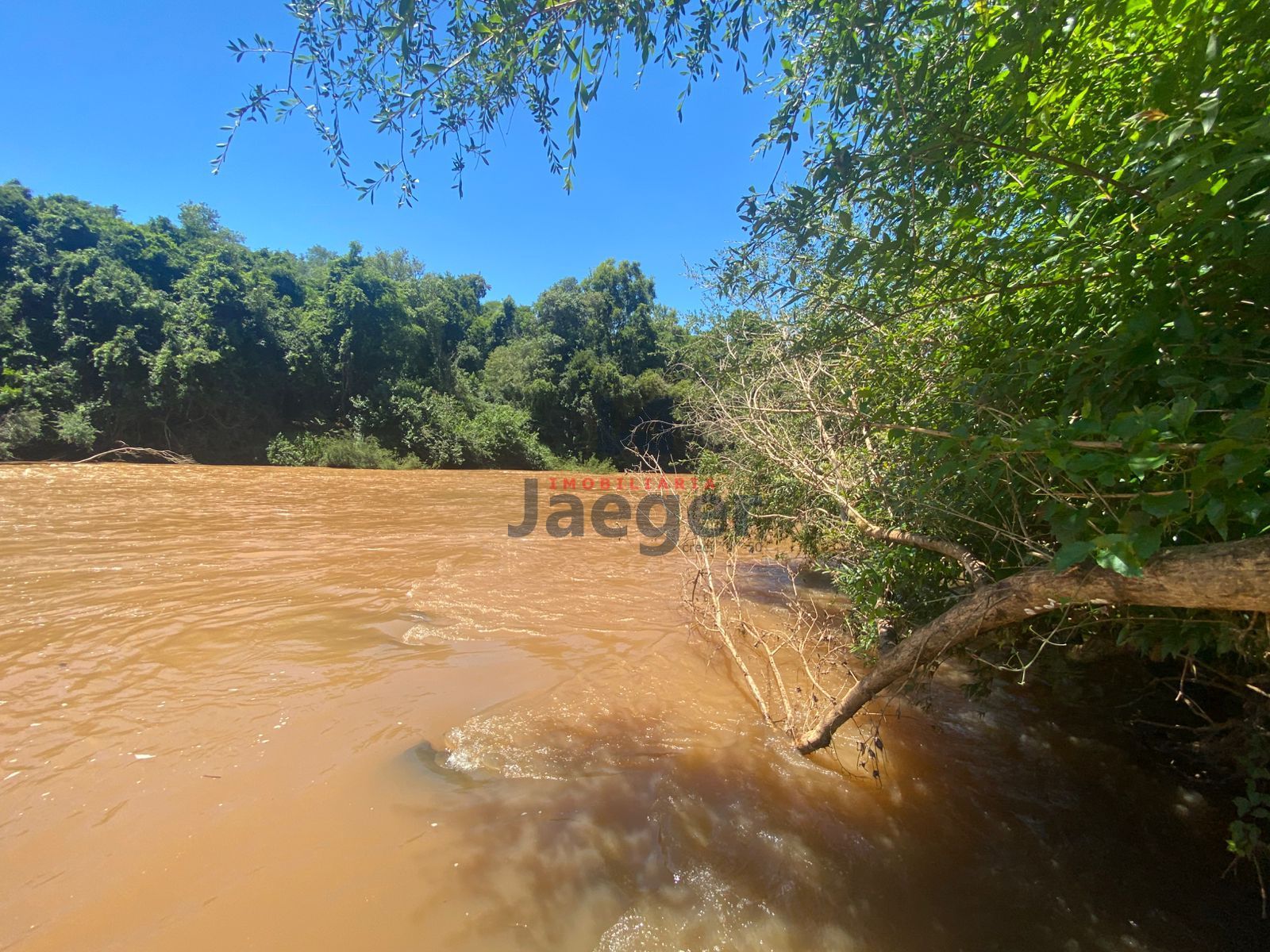 Chácara, 4 hectares - Foto 6