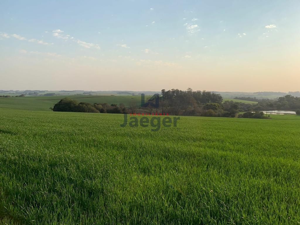 Fazenda à venda com 3 quartos, 140m² - Foto 42