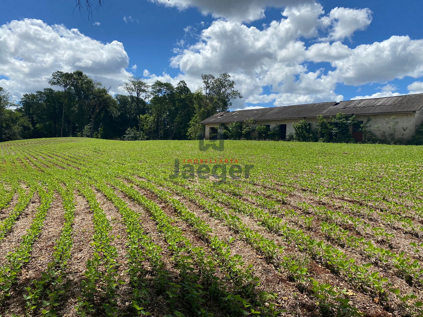 Loteamento e Condomínio à venda, 210000m² - Foto 9