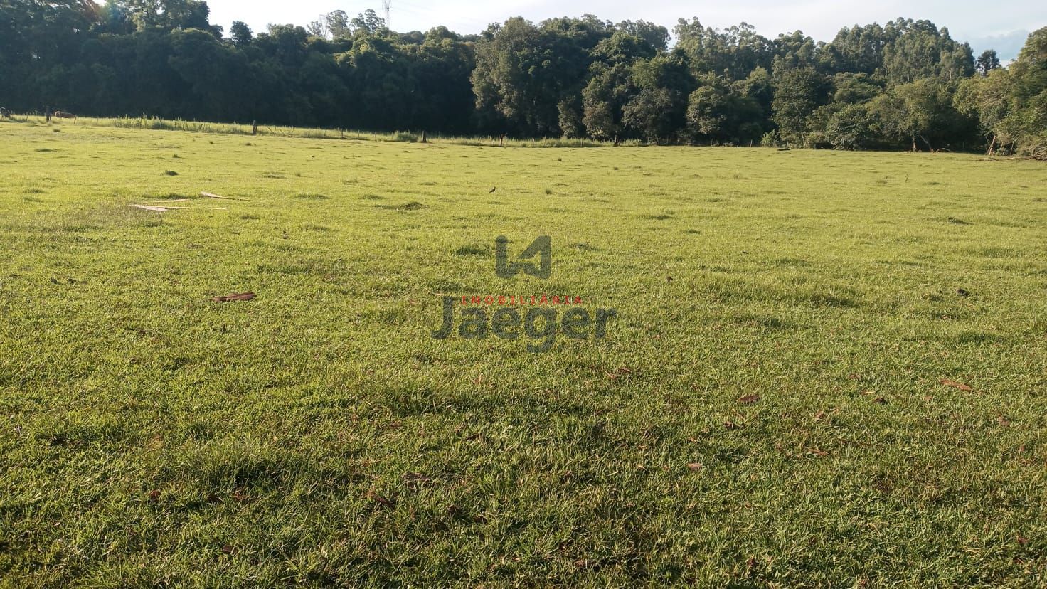 Fazenda à venda com 1 quarto, 200000000m² - Foto 6