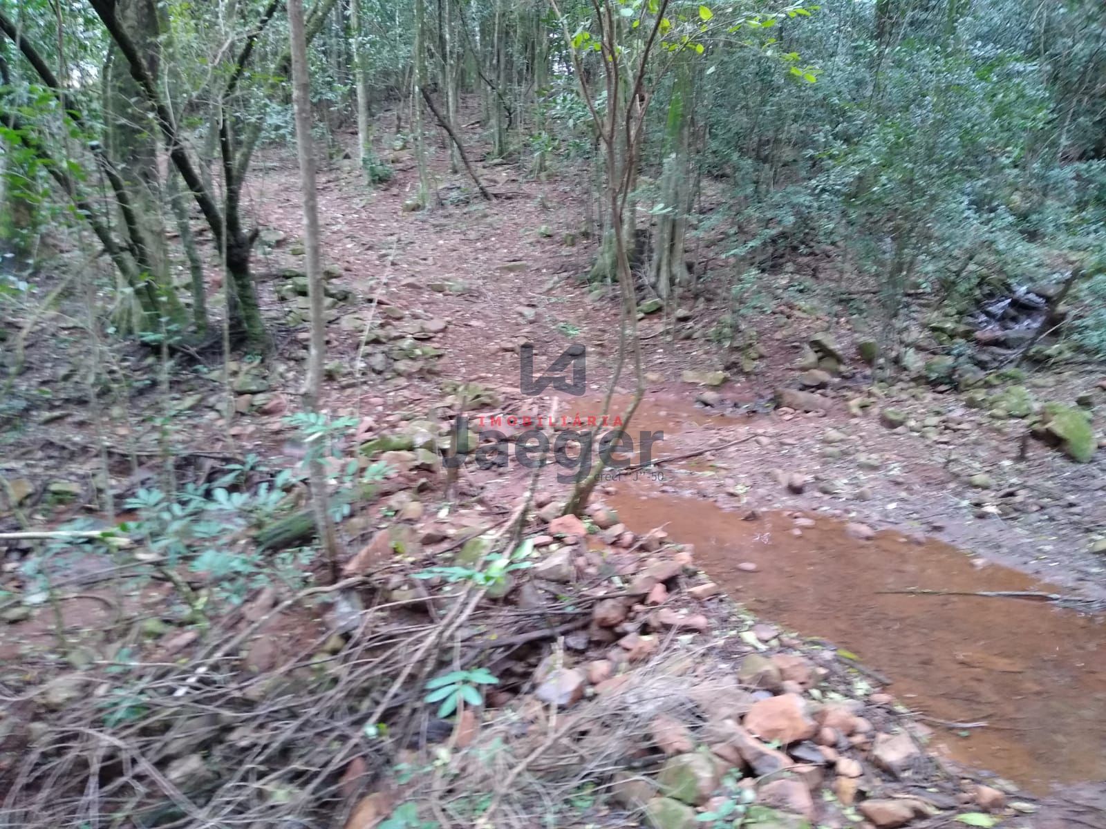 Fazenda à venda com 2 quartos, 150000m² - Foto 2