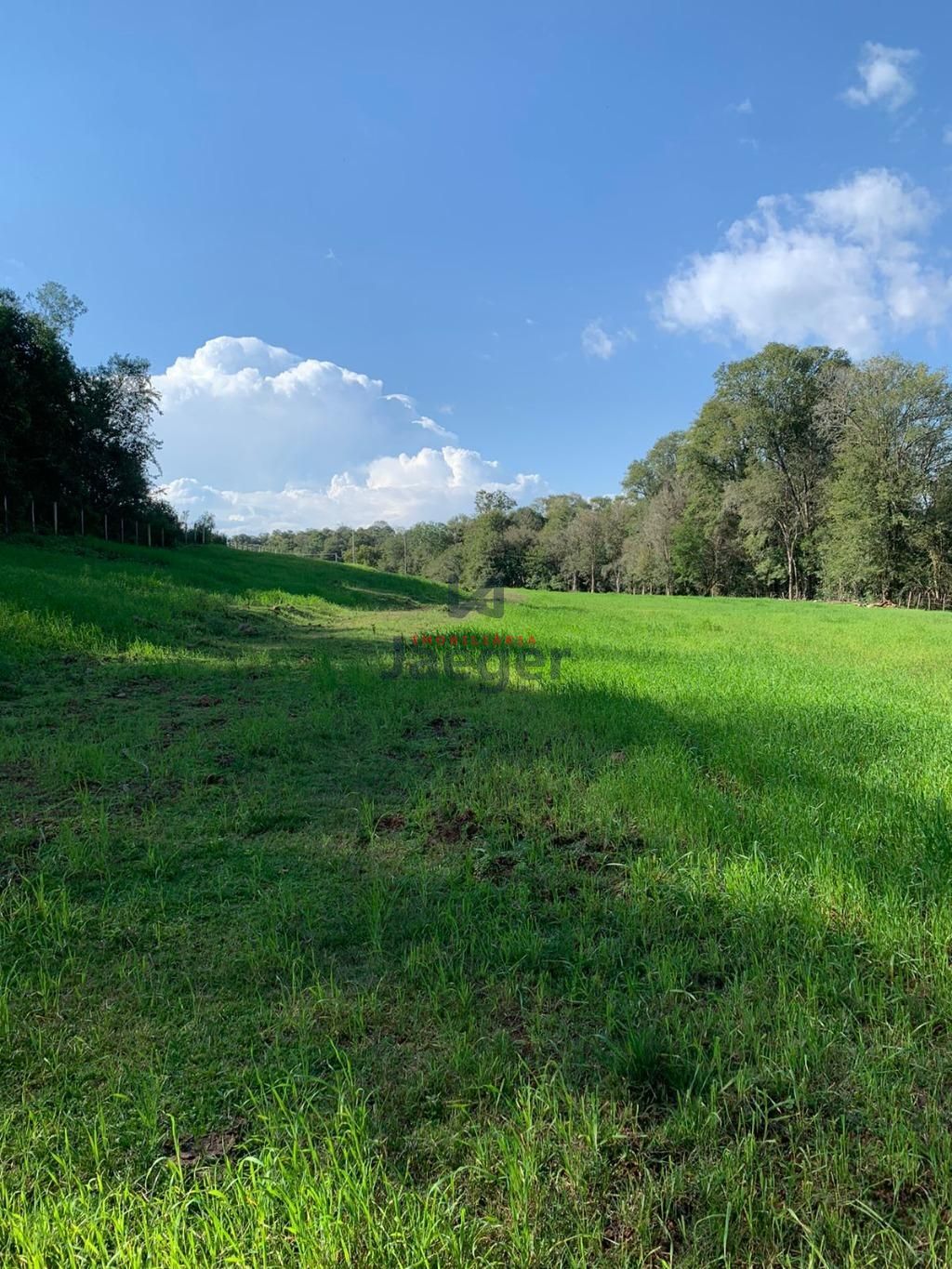 Fazenda à venda com 2 quartos, 89999m² - Foto 14