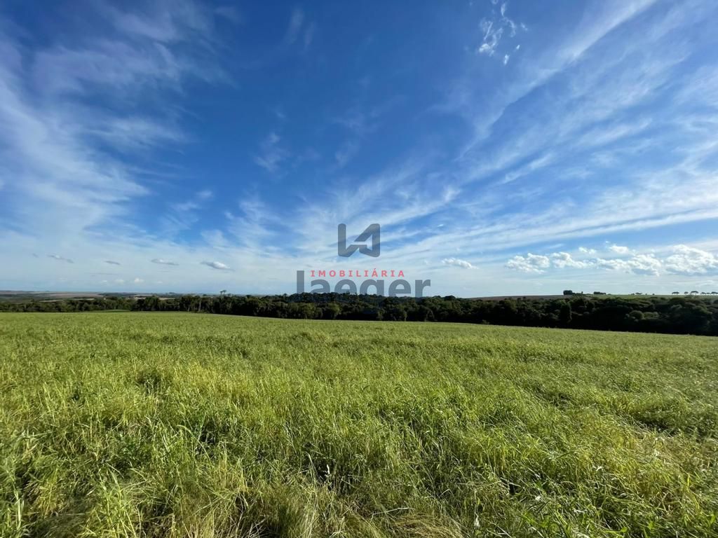 Fazenda à venda com 3 quartos, 192m² - Foto 32