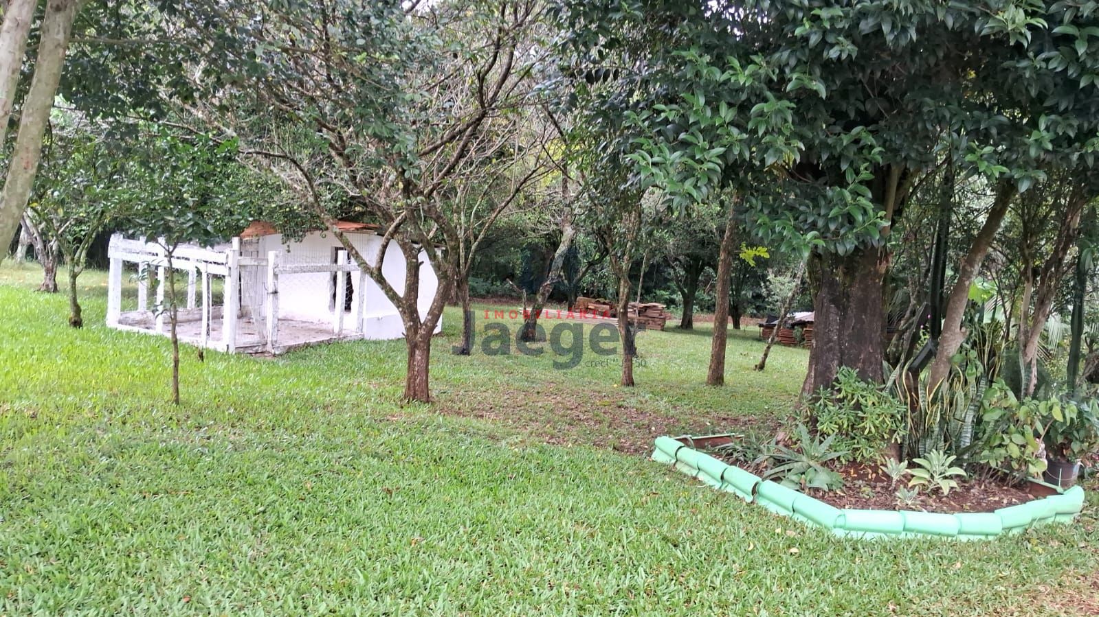 Chácara, 4 hectares - Foto 6