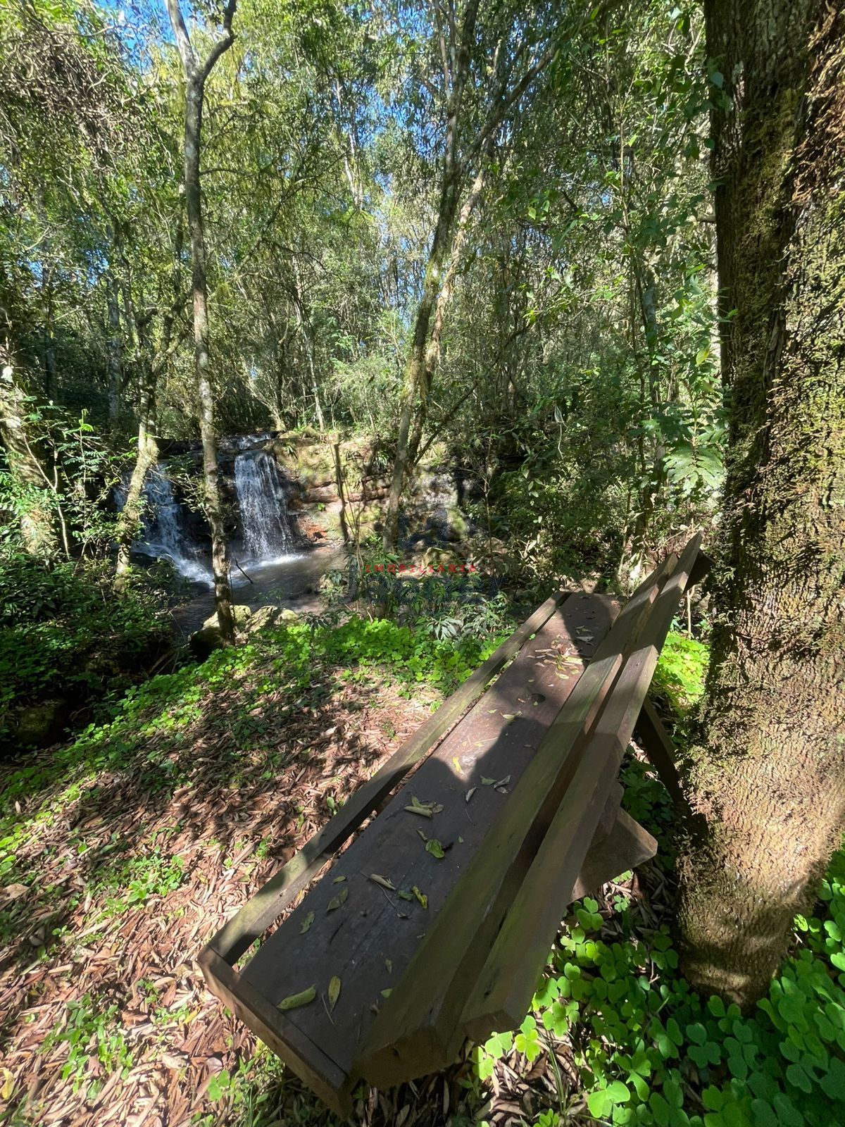 Terreno, 1031 m² - Foto 2