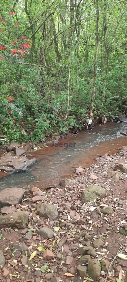 Loteamento e Condomínio à venda, 25000m² - Foto 1