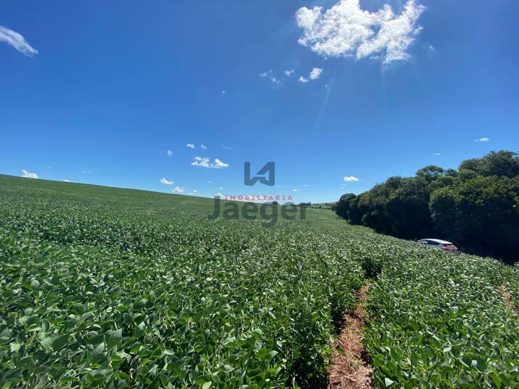 Fazenda à venda, 2070000m² - Foto 19