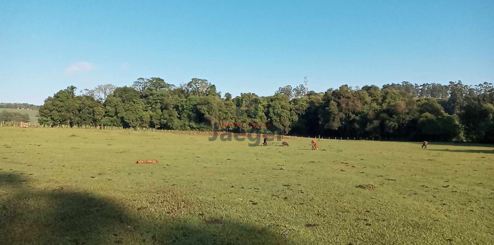 Fazenda à venda com 1 quarto, 200000000m² - Foto 7