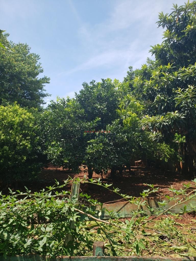 Terreno, 528 m² - Foto 5