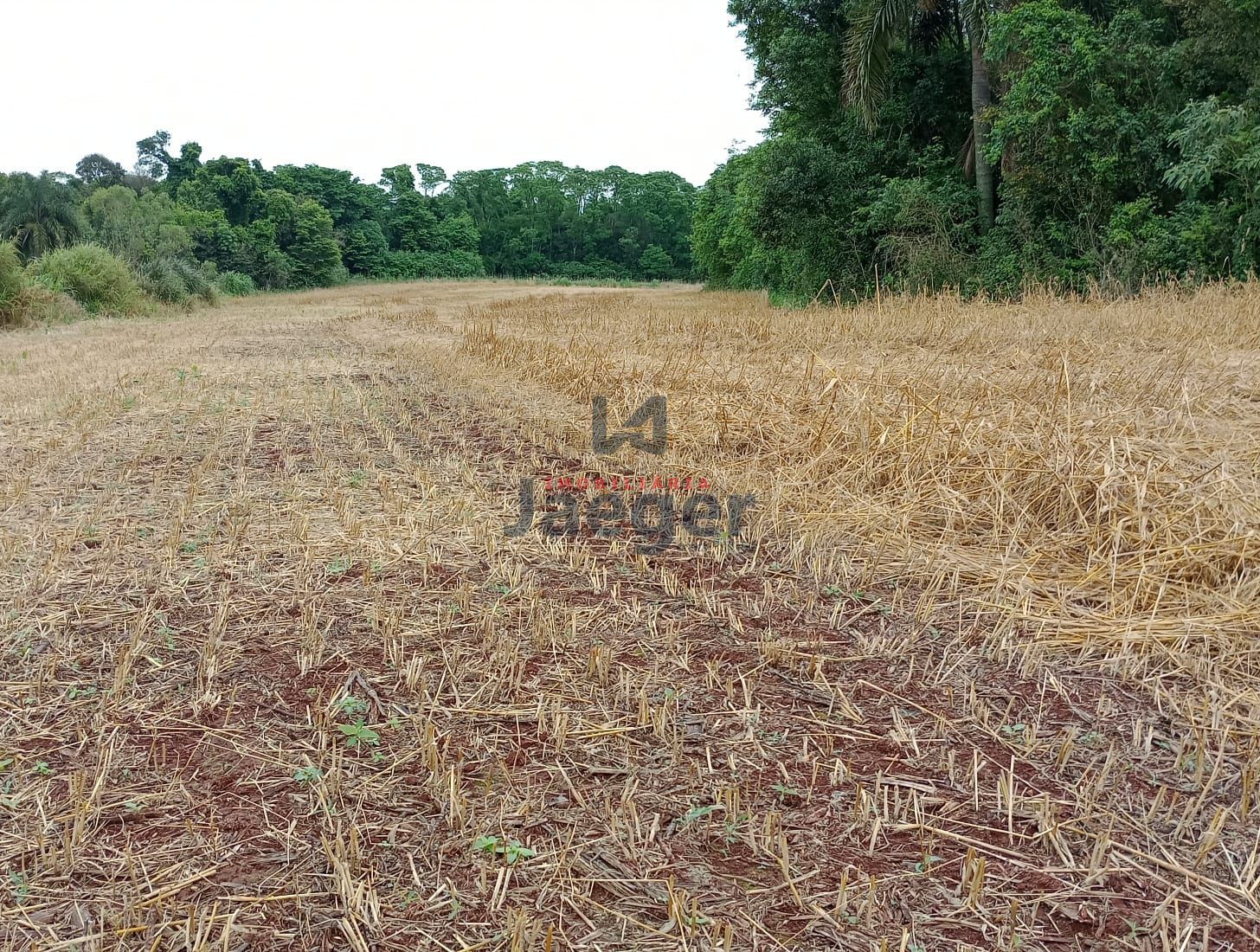 Fazenda à venda com 2 quartos, 125000m² - Foto 6