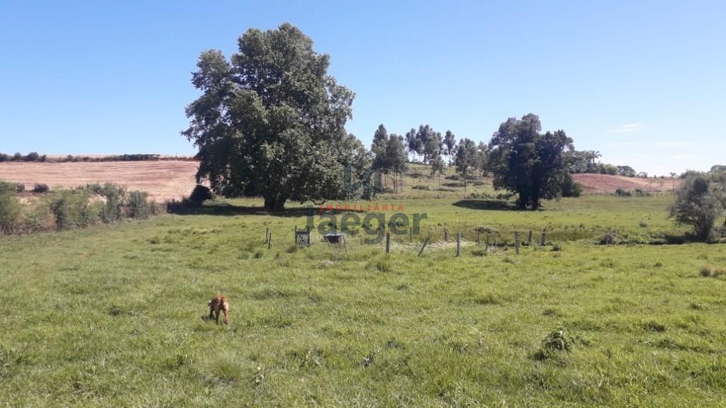 Fazenda à venda com 3 quartos, 79000m² - Foto 32