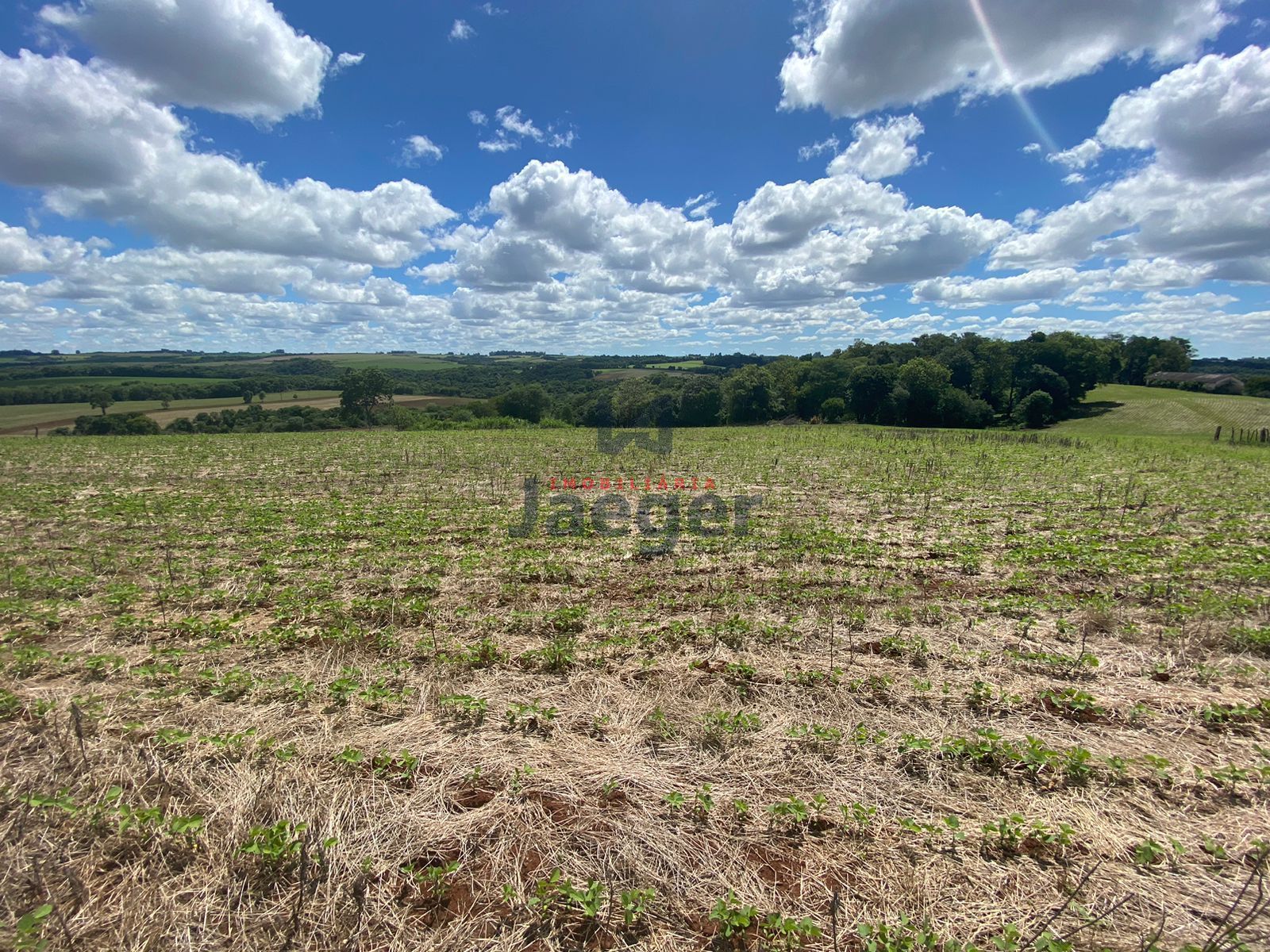 Loteamento e Condomínio à venda, 210000m² - Foto 3