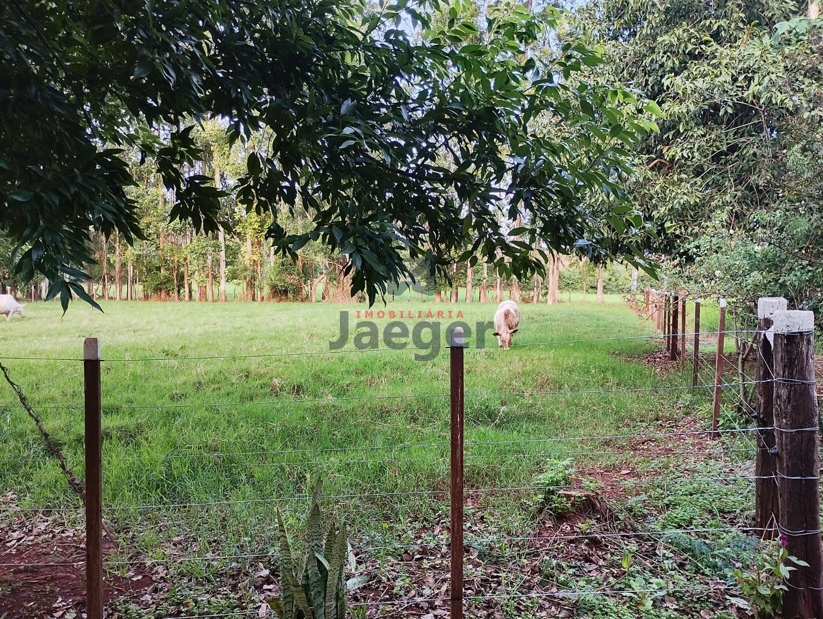 Loteamento e Condomínio à venda, 210000m² - Foto 18